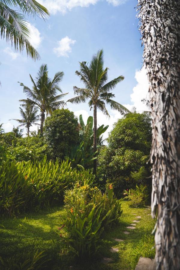 Triangle Palms Siargao Vila General Luna  Exterior foto